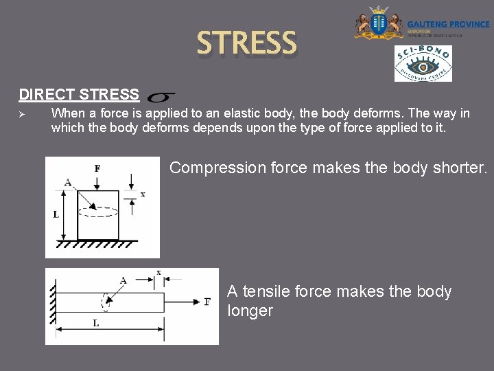 STRESS DIRECT STRESS Ø When a force is applied to an elastic body, the