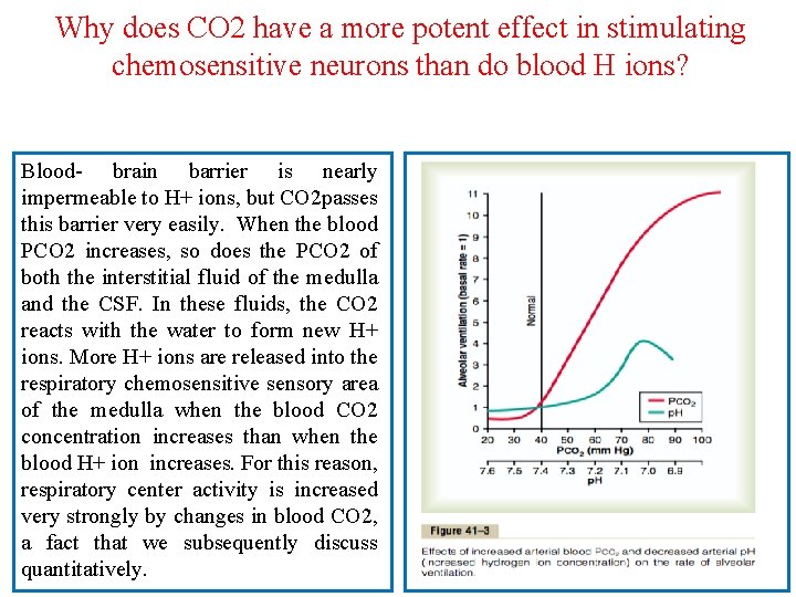 Why does CO 2 have a more potent effect in stimulating chemosensitive neurons than