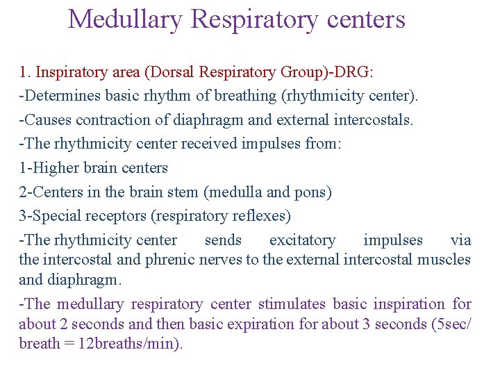  Medullary Respiratory centers 1. Inspiratory area (Dorsal Respiratory Group)-DRG: -Determines basic rhythm of