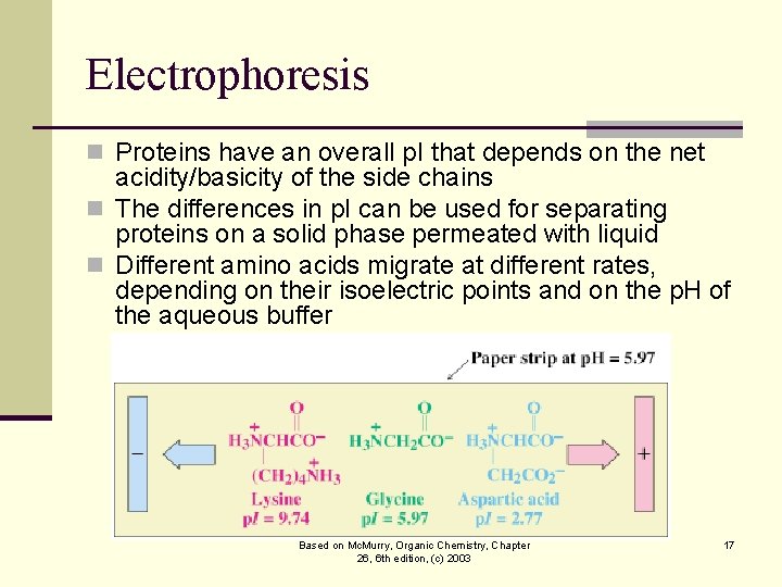 Electrophoresis n Proteins have an overall p. I that depends on the net acidity/basicity