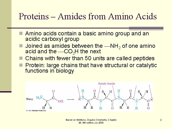 Proteins – Amides from Amino Acids n Amino acids contain a basic amino group