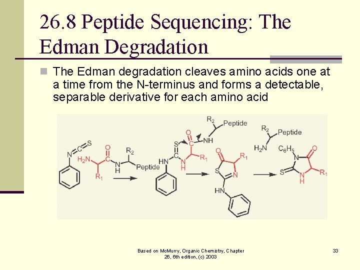 26. 8 Peptide Sequencing: The Edman Degradation n The Edman degradation cleaves amino acids