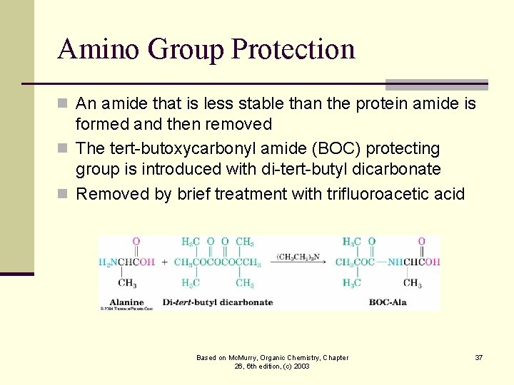 Amino Group Protection n An amide that is less stable than the protein amide