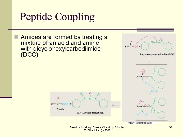 Peptide Coupling n Amides are formed by treating a mixture of an acid and