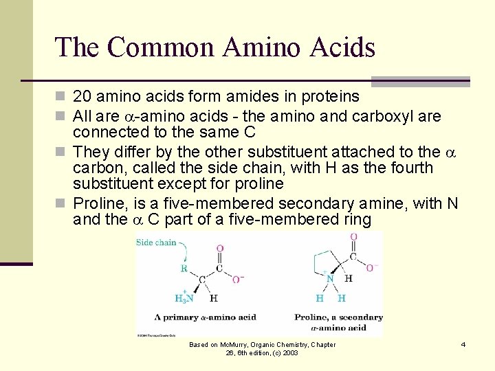 The Common Amino Acids n 20 amino acids form amides in proteins n All