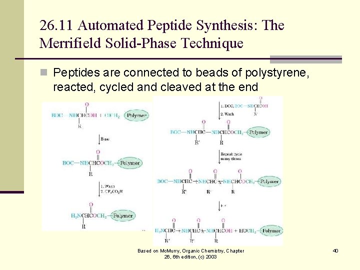 26. 11 Automated Peptide Synthesis: The Merrifield Solid-Phase Technique n Peptides are connected to