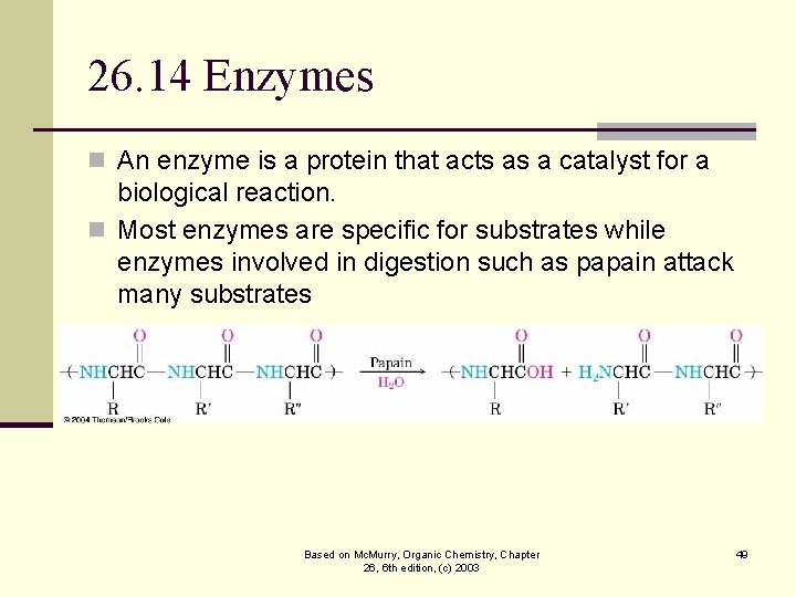 26. 14 Enzymes n An enzyme is a protein that acts as a catalyst