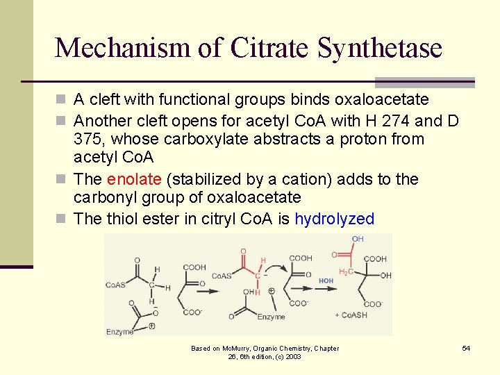 Mechanism of Citrate Synthetase n A cleft with functional groups binds oxaloacetate n Another