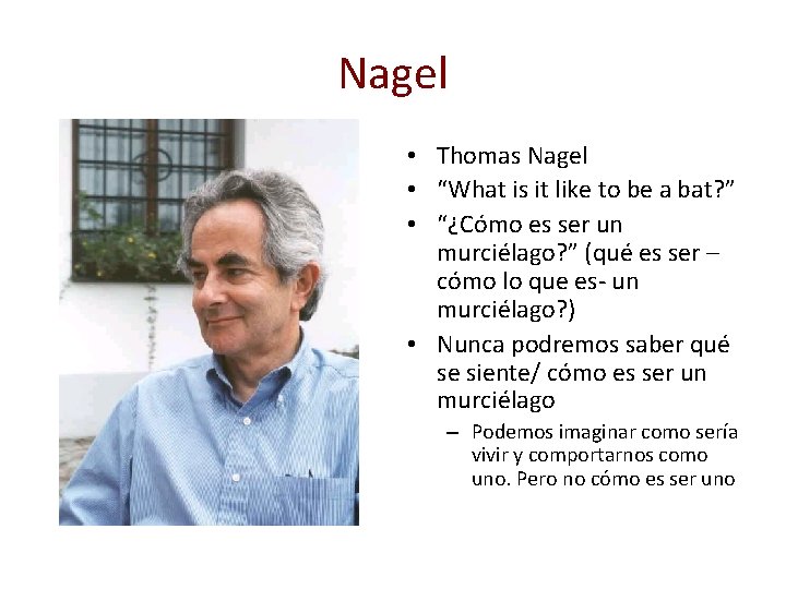 Nagel • Thomas Nagel • “What is it like to be a bat? ”