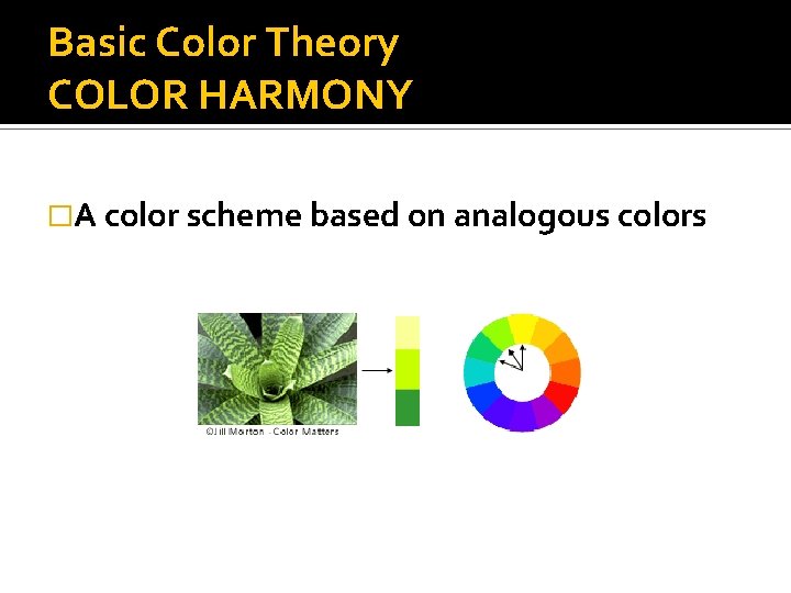 Basic Color Theory COLOR HARMONY �A color scheme based on analogous colors 