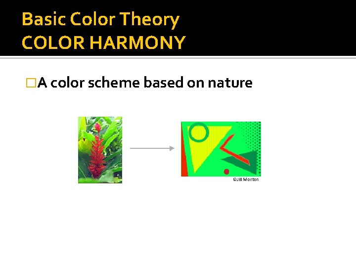 Basic Color Theory COLOR HARMONY �A color scheme based on nature 