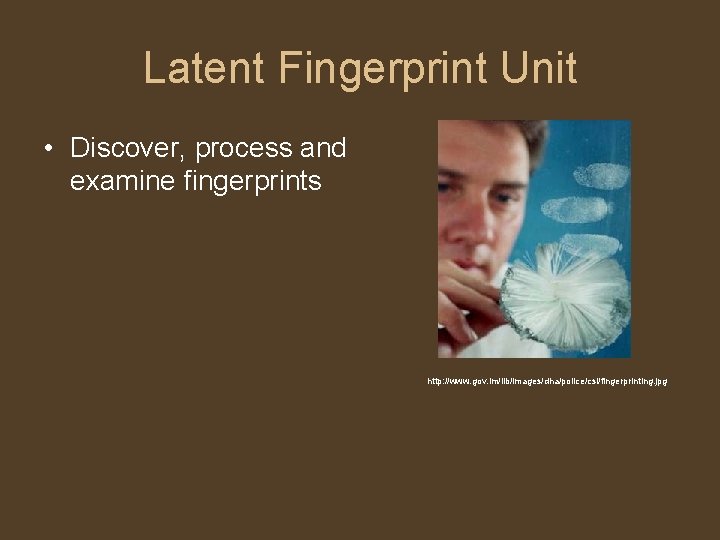 Latent Fingerprint Unit • Discover, process and examine fingerprints http: //www. gov. im/lib/images/dha/police/csi/fingerprinting. jpg
