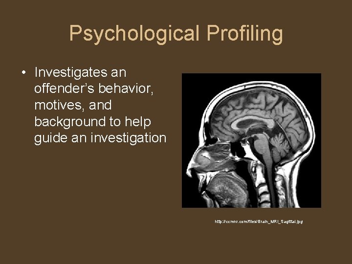 Psychological Profiling • Investigates an offender’s behavior, motives, and background to help guide an