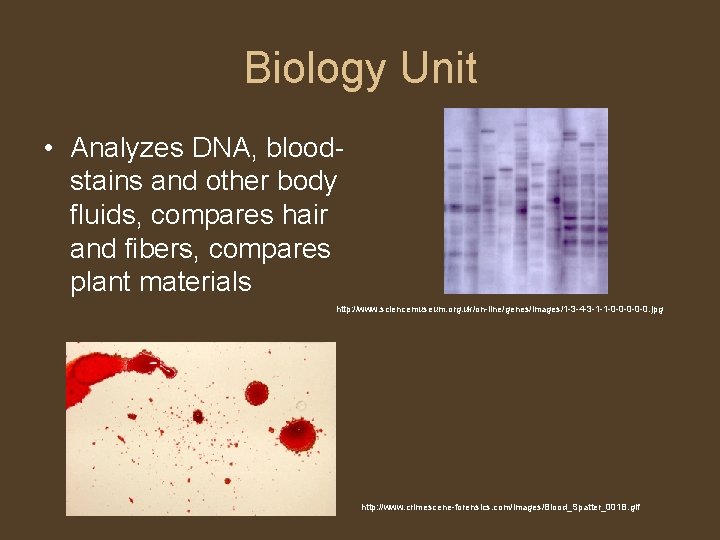 Biology Unit • Analyzes DNA, bloodstains and other body fluids, compares hair and fibers,