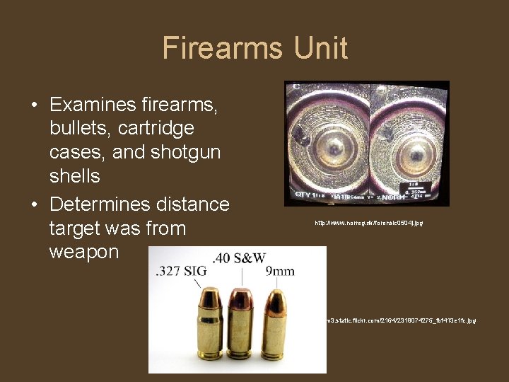 Firearms Unit • Examines firearms, bullets, cartridge cases, and shotgun shells • Determines distance