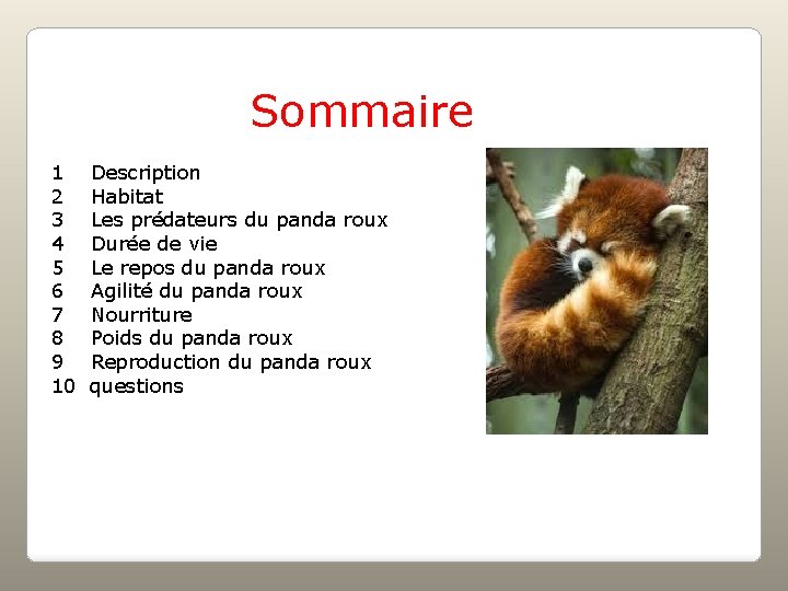  Sommaire 1 Description 2 Habitat 3 Les prédateurs du panda roux 4 Durée