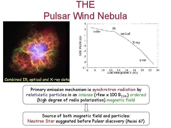 THE Pulsar Wind Nebula Primary emission mechanism is synchrotron radiation by relativistic particles in