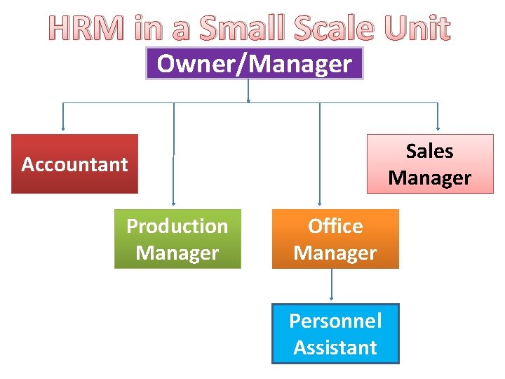 HRM in a Small Scale Unit Owner/Manager Sales Manager Accountant Production Manager Office Manager