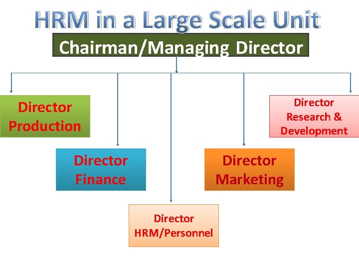 HRM in a Large Scale Unit Chairman/Managing Director Research & Development Director Production Director