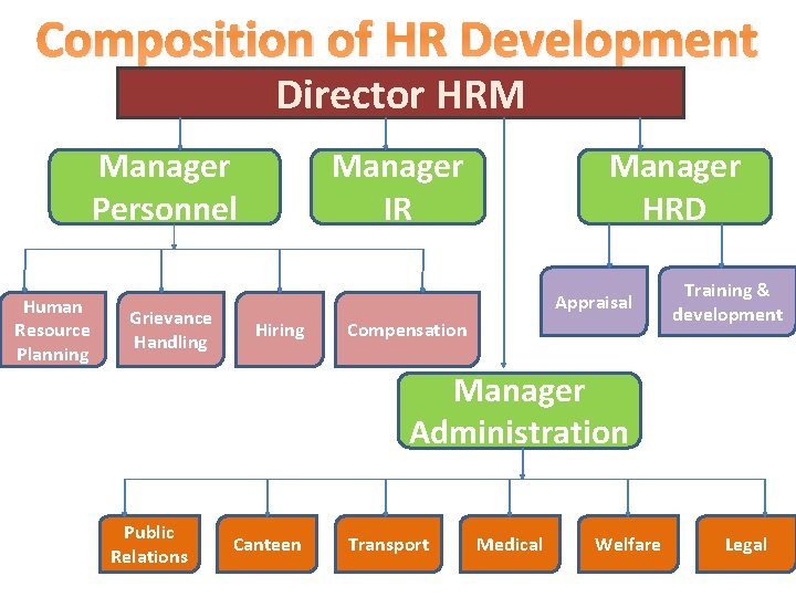 Composition of HR Development Director HRM Manager Personnel Human Resource Planning Grievance Handling Manager