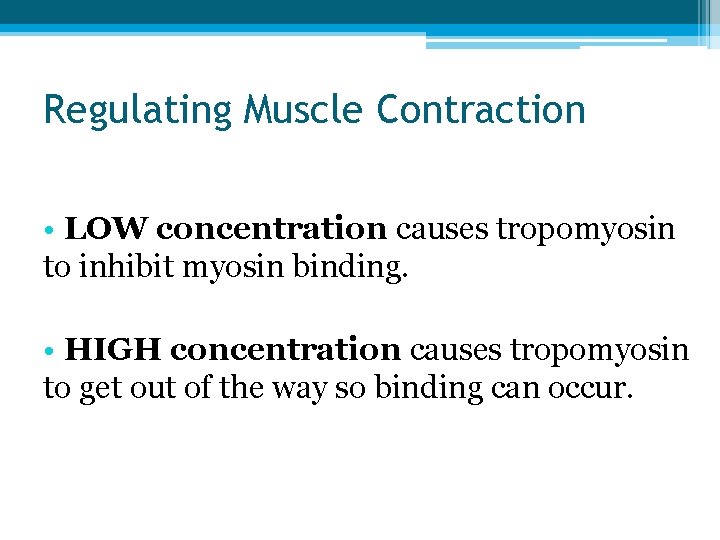 Regulating Muscle Contraction • LOW concentration causes tropomyosin to inhibit myosin binding. • HIGH