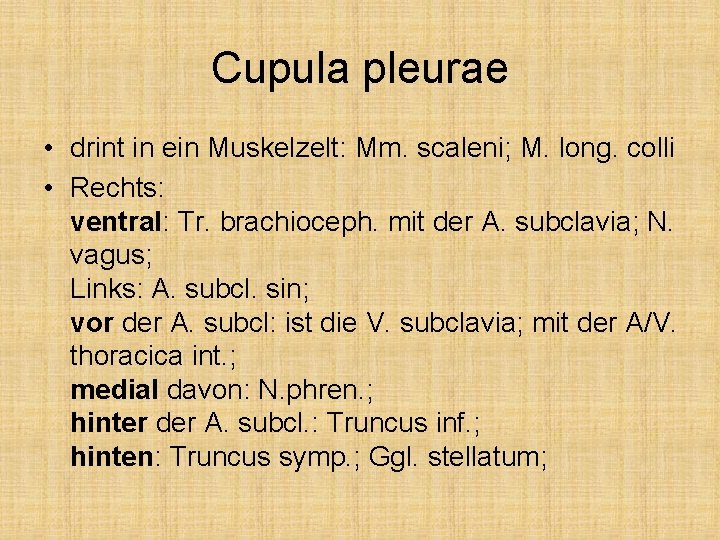 Cupula pleurae • drint in ein Muskelzelt: Mm. scaleni; M. long. colli • Rechts: