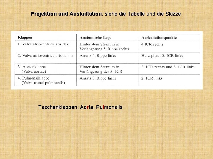 Projektion und Auskultation: siehe die Tabelle und die Skizze Taschenklappen: Aorta, Pulmonalis 