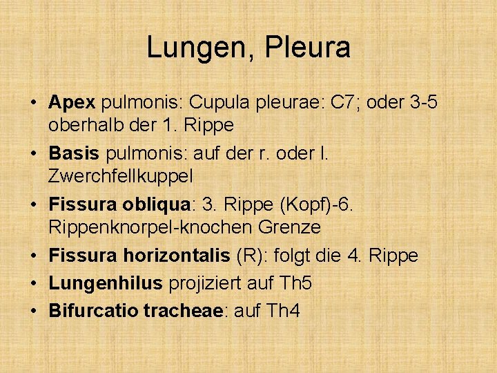 Lungen, Pleura • Apex pulmonis: Cupula pleurae: C 7; oder 3 -5 oberhalb der