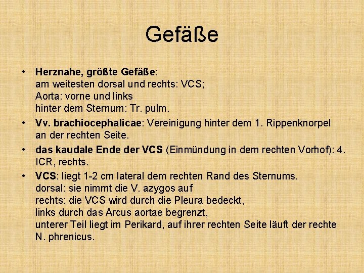 Gefäße • Herznahe, größte Gefäße: am weitesten dorsal und rechts: VCS; Aorta: vorne und