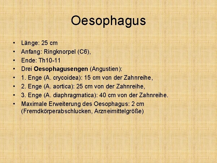 Oesophagus • • Länge: 25 cm Anfang: Ringknorpel (C 6), Ende: Th 10 -11