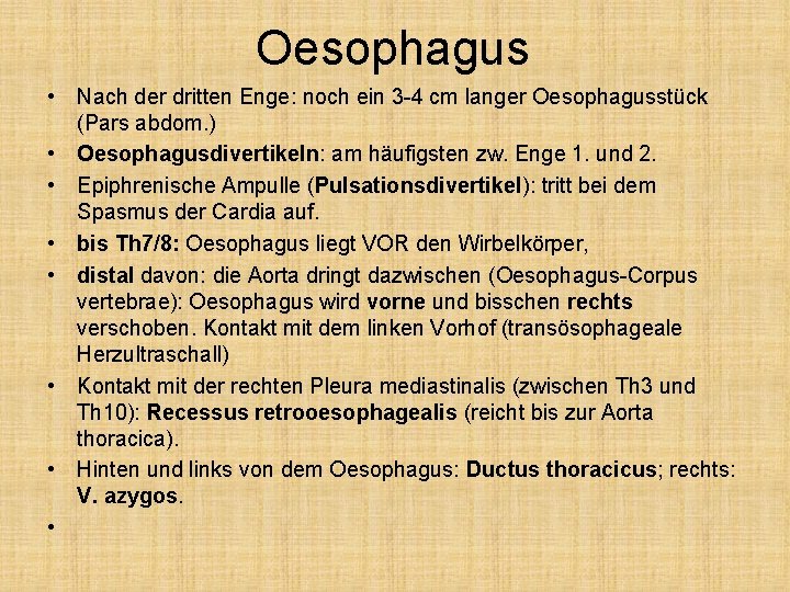 Oesophagus • Nach der dritten Enge: noch ein 3 -4 cm langer Oesophagusstück (Pars
