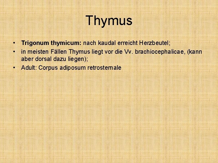 Thymus • Trigonum thymicum: nach kaudal erreicht Herzbeutel; • in meisten Fällen Thymus liegt
