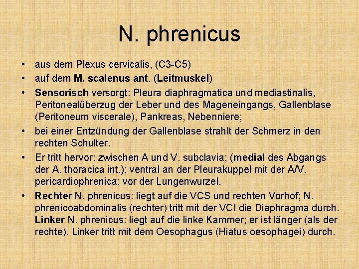 N. phrenicus • aus dem Plexus cervicalis, (C 3 -C 5) • auf dem