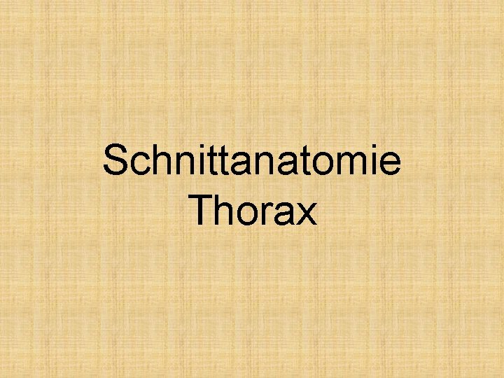 Schnittanatomie Thorax 