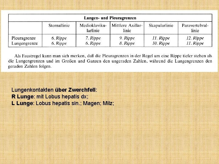 Lungenkontakten über Zwerchfell: R Lunge: mit Lobus hepatis dx; L Lunge: Lobus hepatis sin.