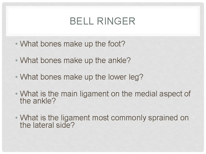 BELL RINGER • What bones make up the foot? • What bones make up
