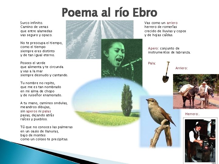 Surco infinito. Camino de venas que entre alamedas vas seguro y opaco. Poema al