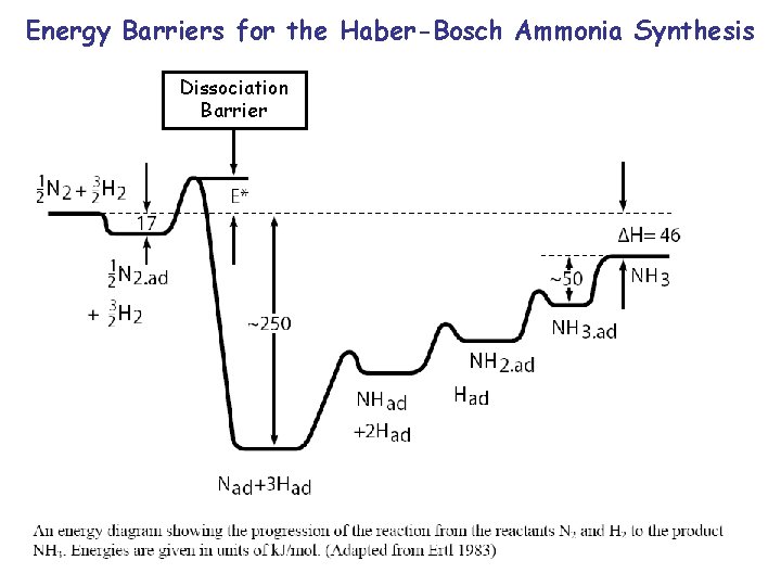 Energy Barriers for the Haber-Bosch Ammonia Synthesis Dissociation Barrier 