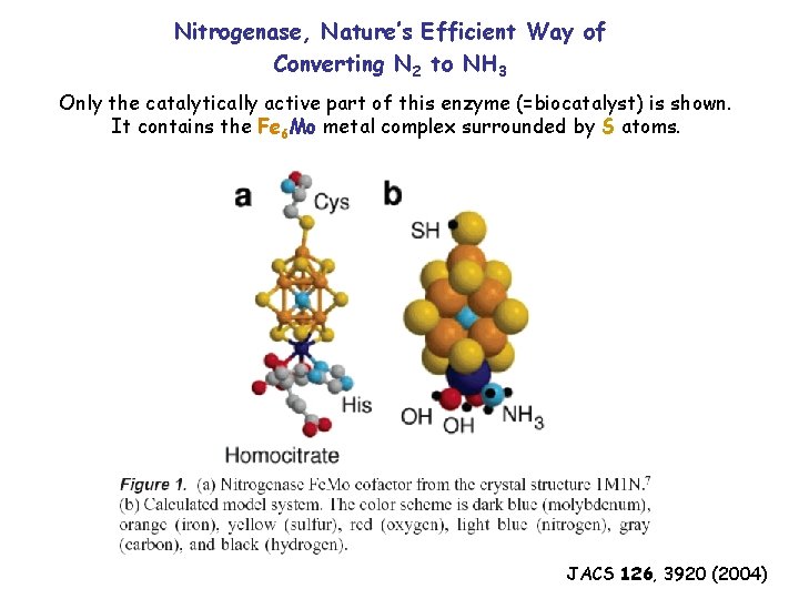 Nitrogenase, Nature’s Efficient Way of Converting N 2 to NH 3 Only the catalytically
