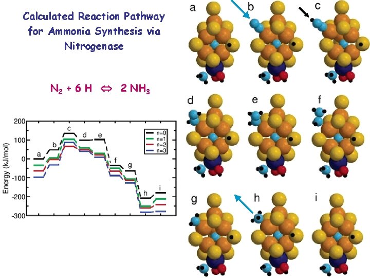 Calculated Reaction Pathway for Ammonia Synthesis via Nitrogenase N 2 + 6 H 2