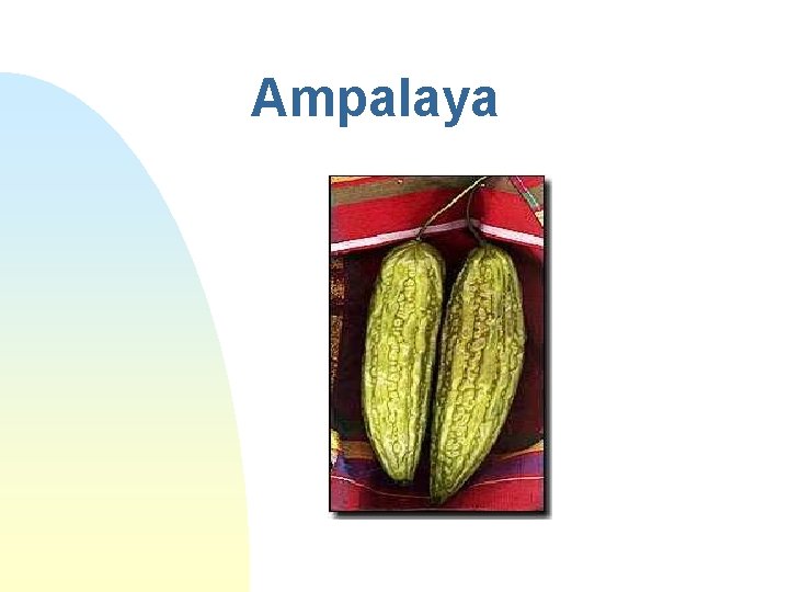 Ampalaya 