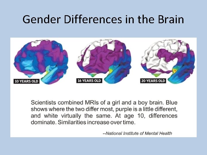 Gender Differences in the Brain 