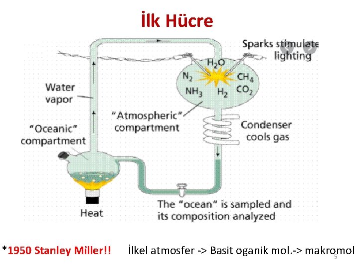 İlk Hücre *1950 Stanley Miller!! İlkel atmosfer -> Basit oganik mol. -> makromol 5