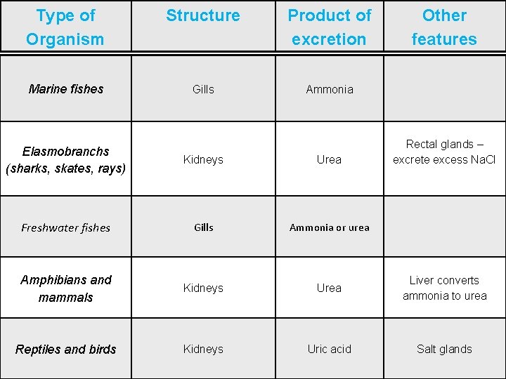 Type of Organism Structure Product of excretion Marine fishes Gills Ammonia Other features Rectal