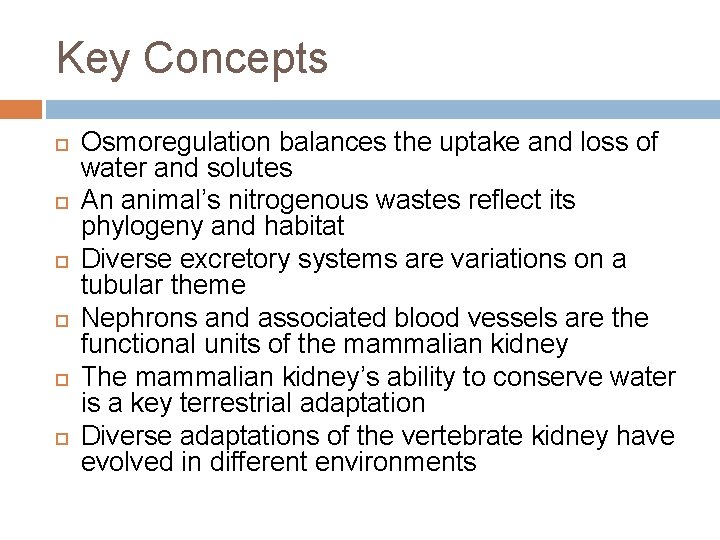 Key Concepts Osmoregulation balances the uptake and loss of water and solutes An animal’s