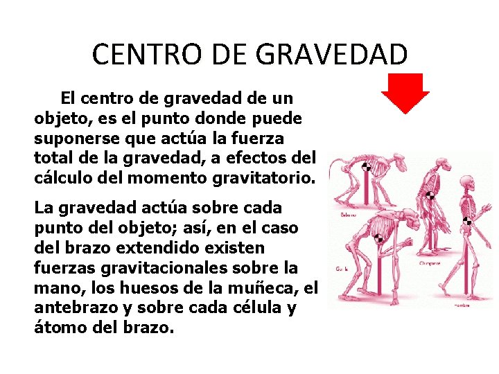 CENTRO DE GRAVEDAD El centro de gravedad de un objeto, es el punto donde