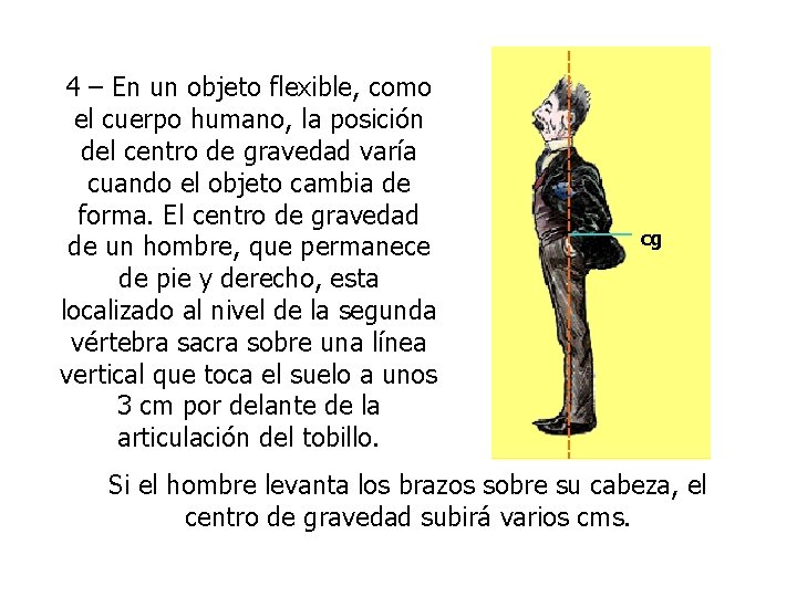 4 – En un objeto flexible, como el cuerpo humano, la posición del centro