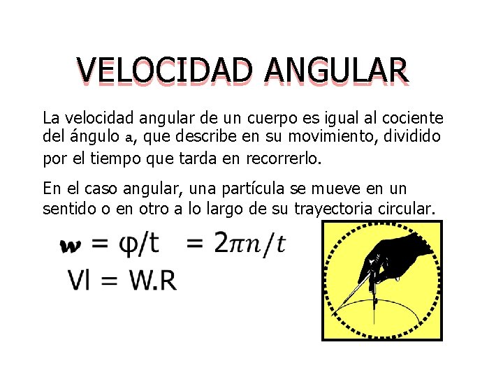 VELOCIDAD ANGULAR La velocidad angular de un cuerpo es igual al cociente del ángulo