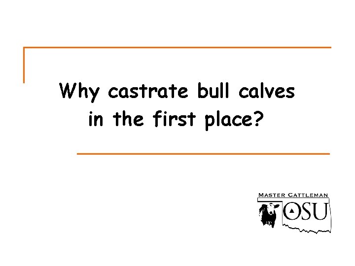 Why castrate bull calves in the first place? 