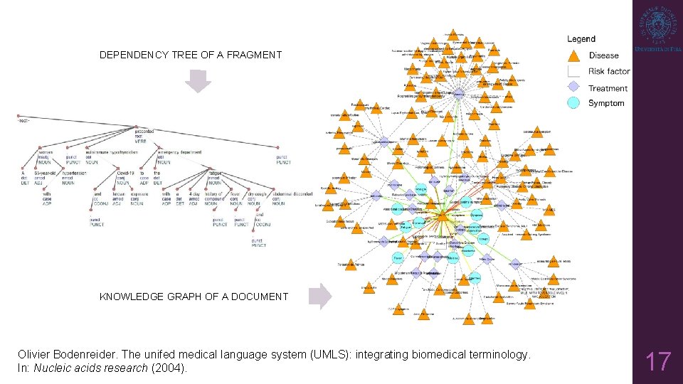 DEPENDENCY TREE OF A FRAGMENT KNOWLEDGE GRAPH OF A DOCUMENT Olivier Bodenreider. The unifed